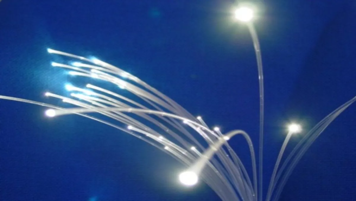 Fibre Watch: City of snails