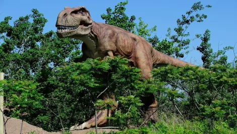 SaaS vendors set to become legacy dinosaurs