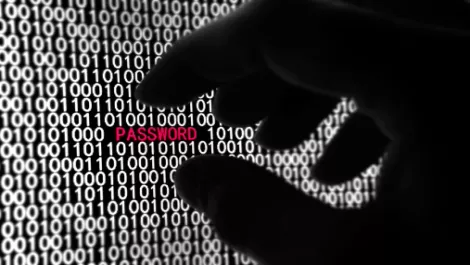 Kiwi invention prevents password hacking