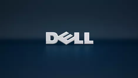 Dell plain 1
