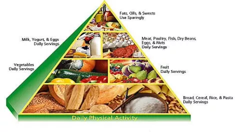 Food guide pyramid usda