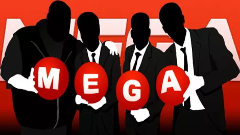 About mega silhouette