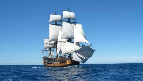 Endeavour sailing 603x320