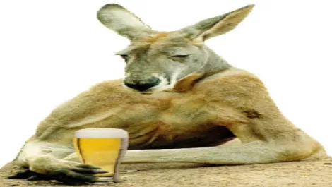 Kangaroo edit