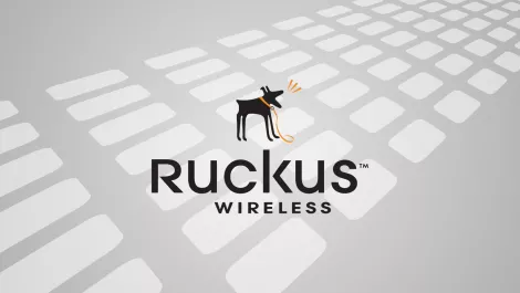 Partner ruckus 2