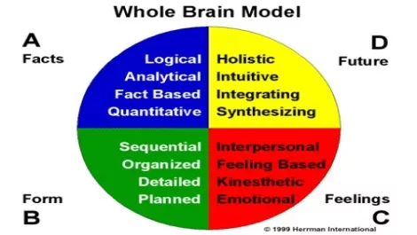 Whole brain