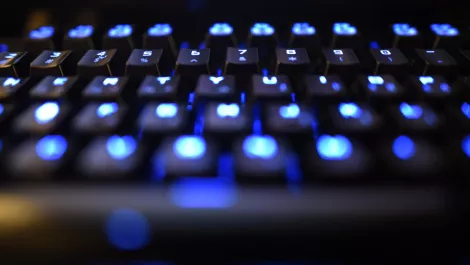 High profile All Blacks referred to the police over Twitter use