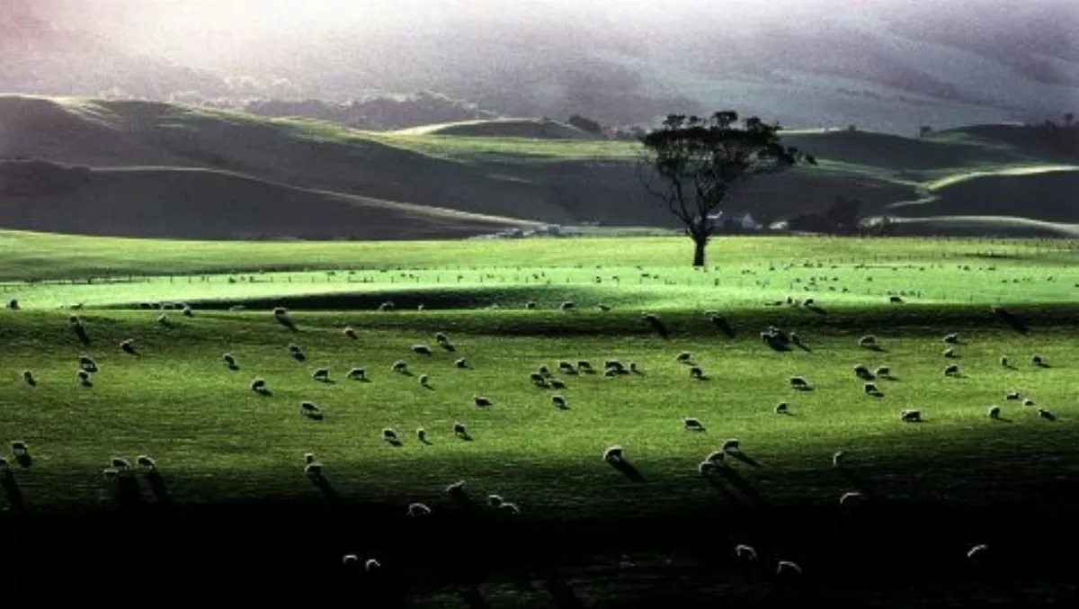 NZ First calls out government on rural broadband in Southland