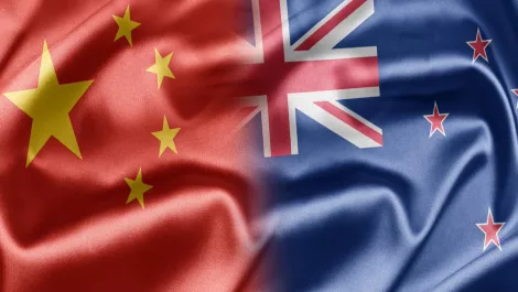 Creative HQ champions the Chinese startup that's embracing Kiwi innovation