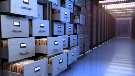 More of NZ's digital content to become freely available