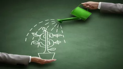 Growing investment