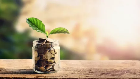 Thinkstockphotos 656019356