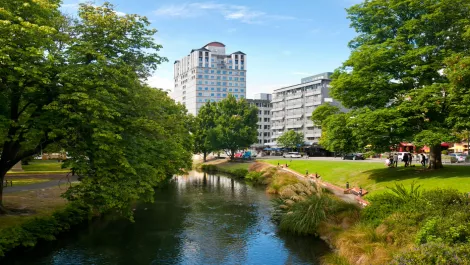 New rubbish-sensors being trialled in Christchurch promise to lead to a clean city