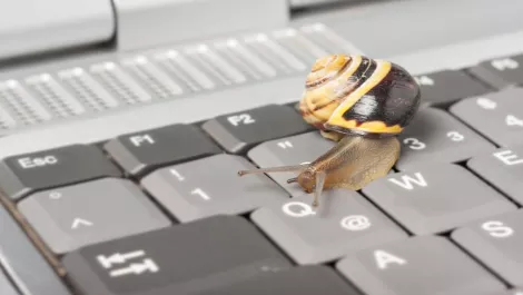 Thinkstockphotos 467786984