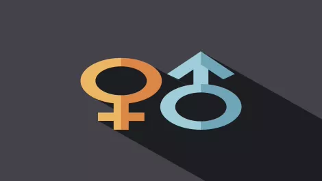 Gender pay gap moving in right direction, says Paula Bennett