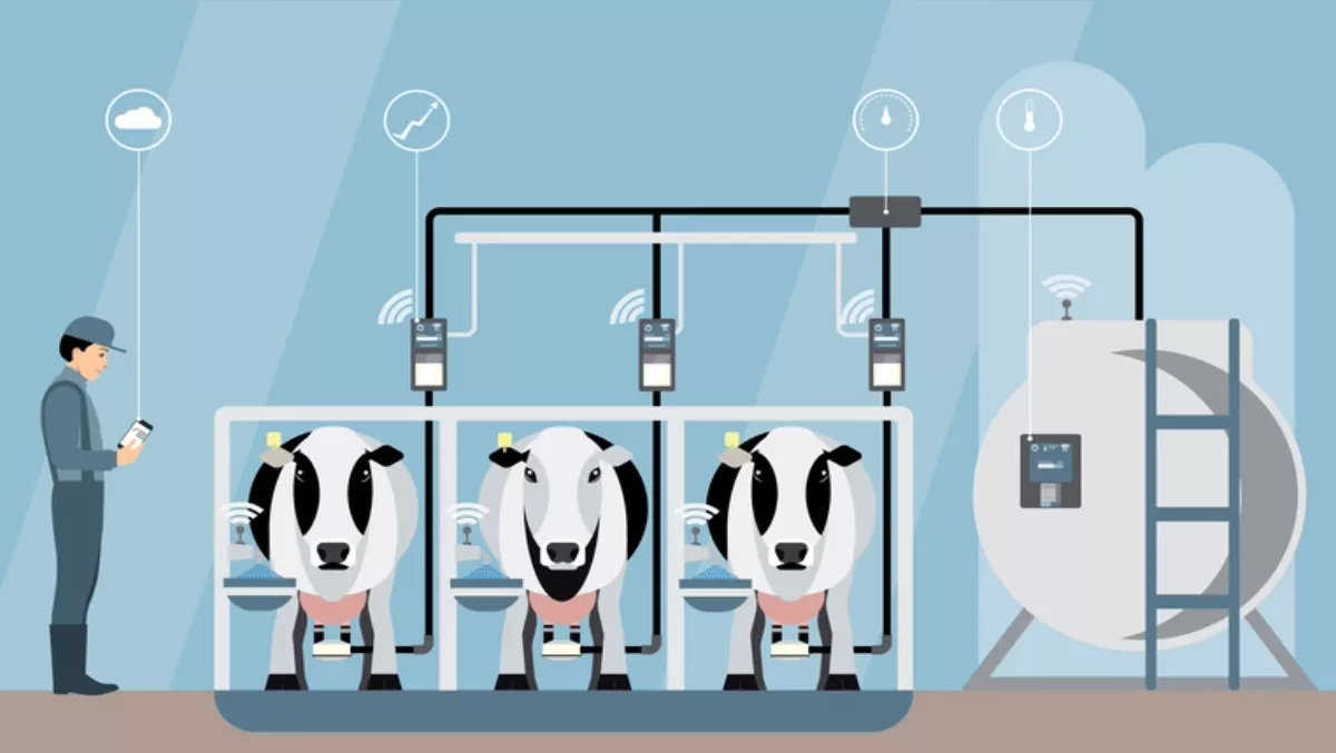 How AI and IoT will help NZ meet increasing food demands