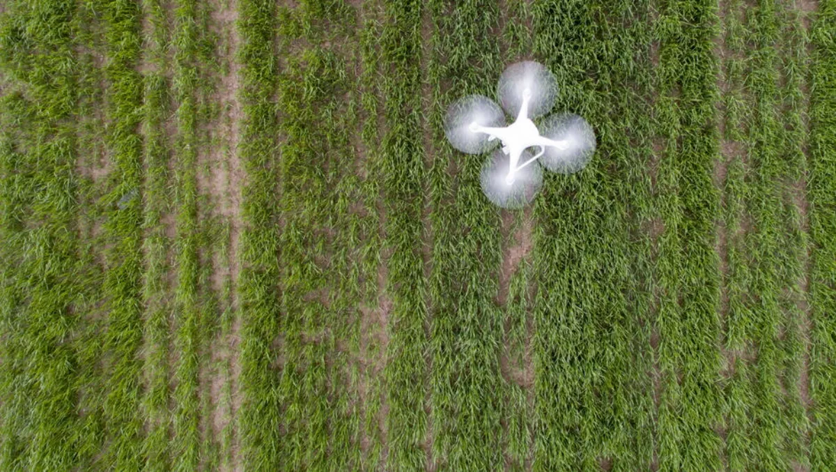 How Microsoft's new drone deal will help farmers combat crop disease