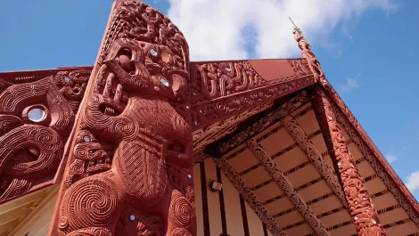 'Iwi Algorithm' can grow Aotearoa's mana
