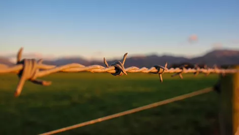 NZ's innovation snagged on 'number 8 wire' - report