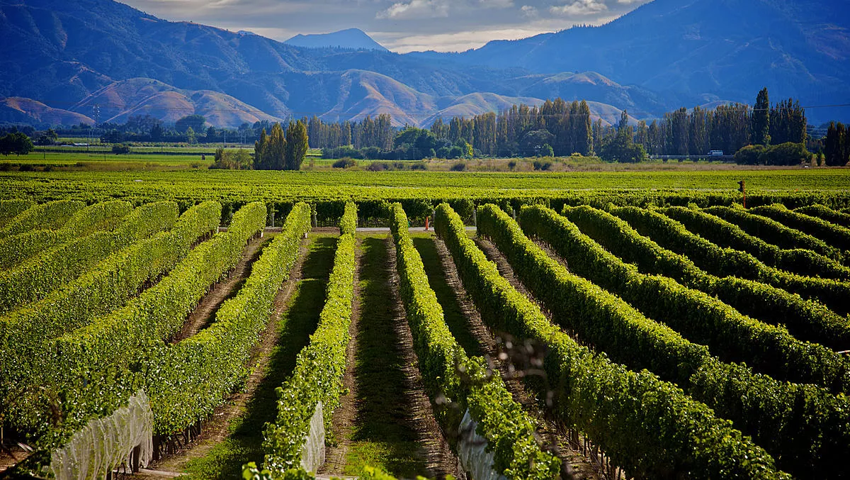 Tourism and wine industries to benefit from Vodafone 4G launch in Marlborough