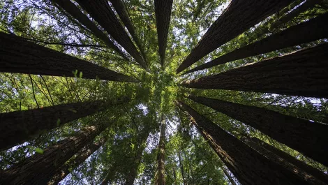 Gettyimages 851057950