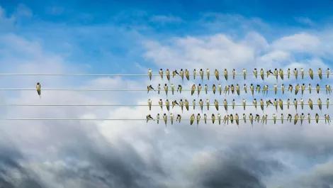 Gettyimages 902027524  1 